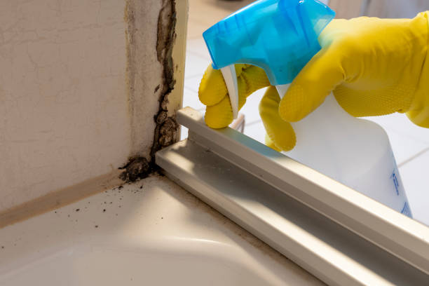 Best Mold Cleaning Services  in Trinity, NC